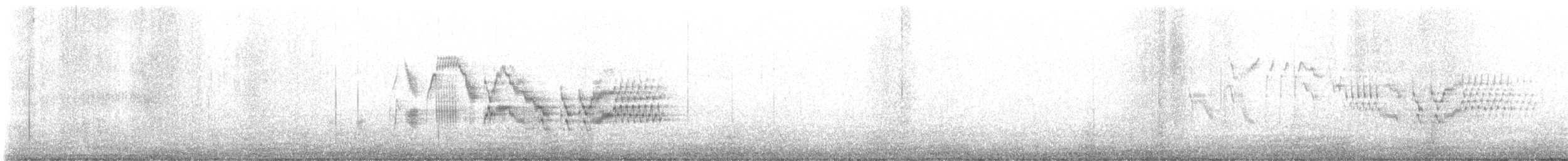 Bicknell Bülbül Ardıcı - ML620104783