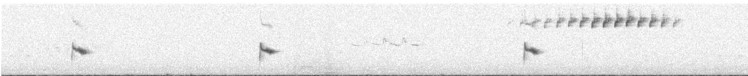Bicknell Bülbül Ardıcı - ML620105170