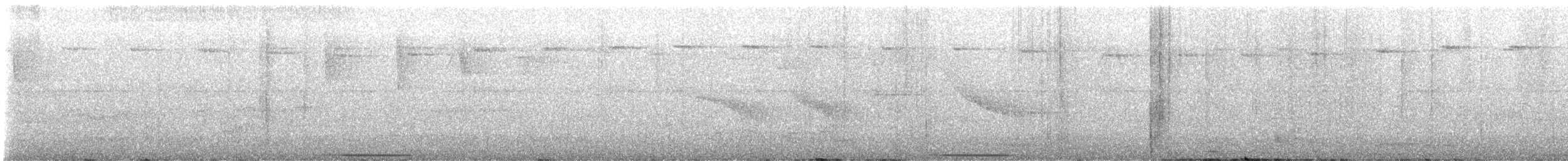 holub bledočelý [skupina verreauxi] - ML620105795