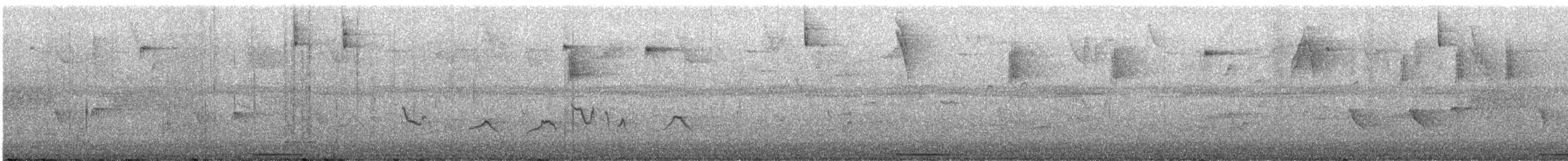 Бледнолицая перепелиная горлица (linearis) - ML620105813