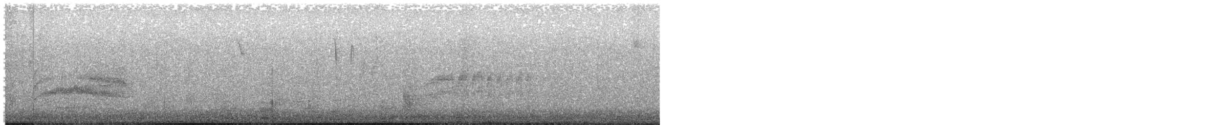 Тауї плямистий - ML620106524