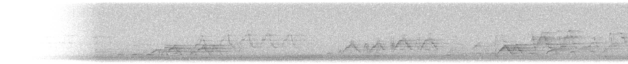 Дрізд-короткодзьоб Cвенсона - ML620108614