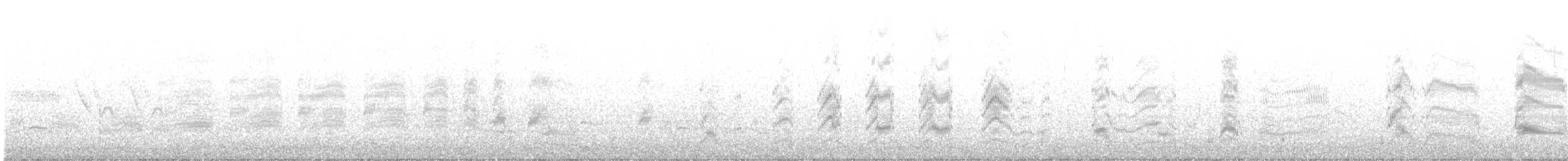 ボナパルトカモメ - ML620108700