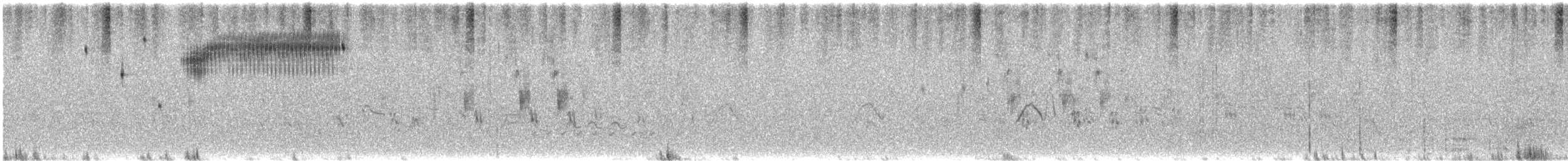 Çekirge Sesli Çayır Serçesi - ML620110118