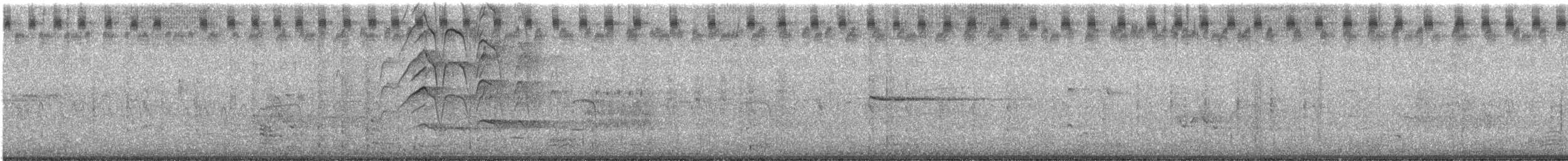 Kara Karınlı Islıkçı Ördek - ML620110510