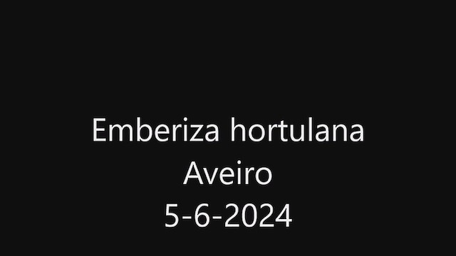 hortulan - ML620111880