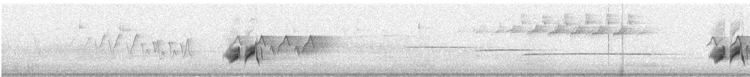 tyranovec olšový - ML620112812