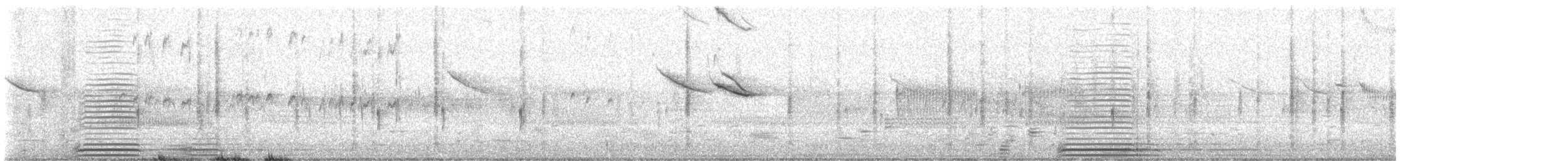 Cisne Trompetero - ML620113316