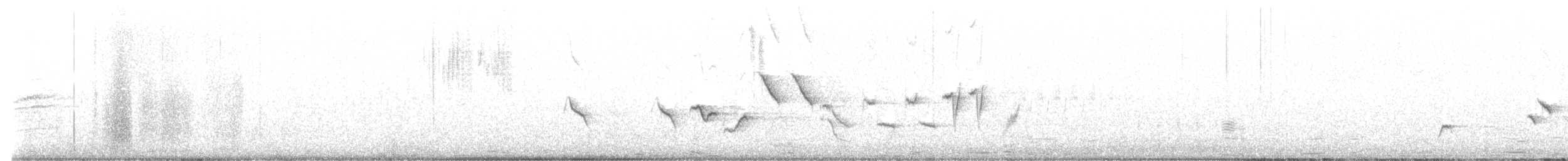 גיבתונית חומת-זנב - ML620114204