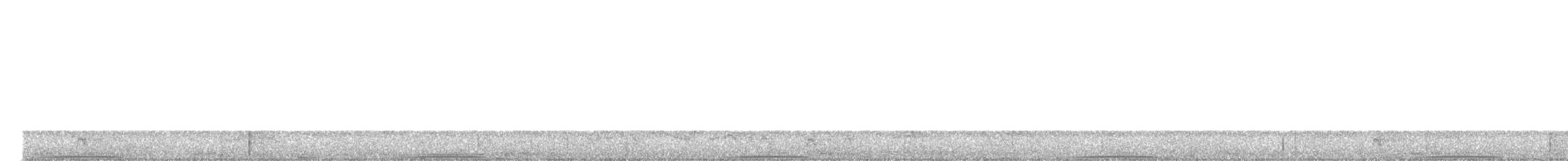 holub šedohlavý - ML620114681