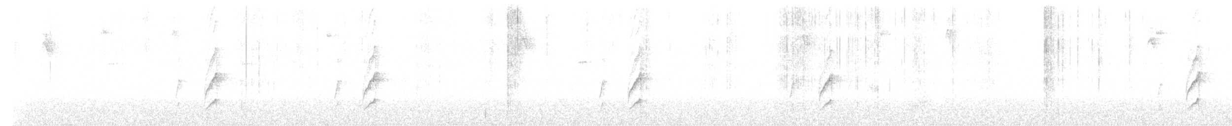 fjellstifthale - ML620114832
