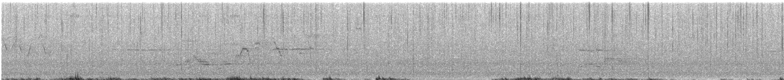 Дрізд-короткодзьоб Cвенсона - ML620114943