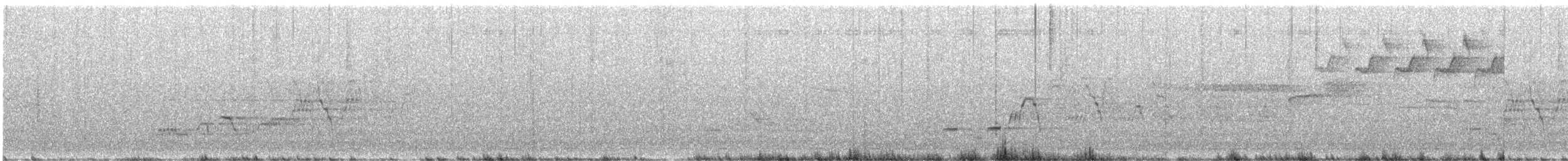 Дрізд-короткодзьоб Cвенсона - ML620115088