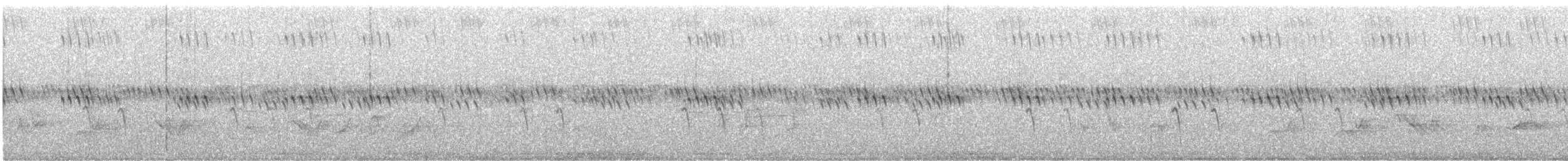 Bec-croisé des sapins (type 2) - ML620115501