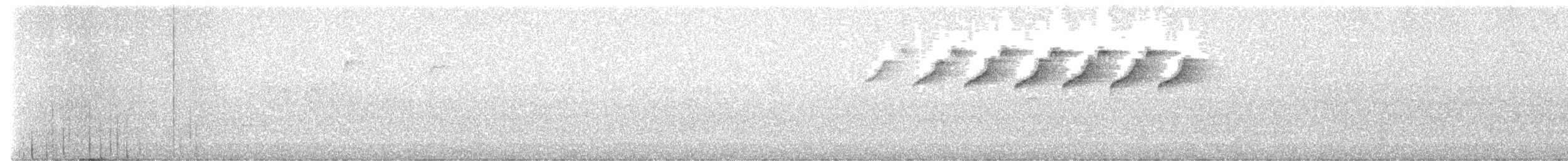 lesňáček černobílý - ML620115688