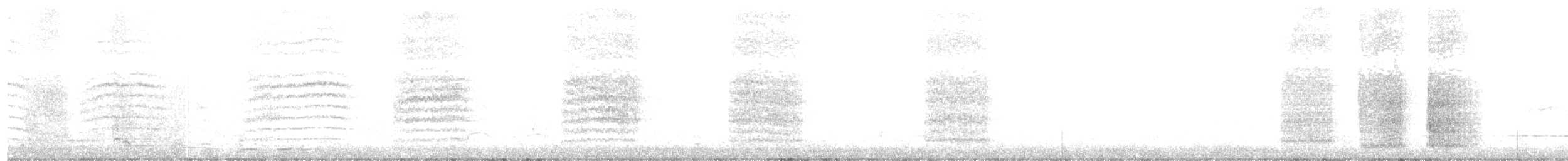 Ойсея плямиста - ML620116001