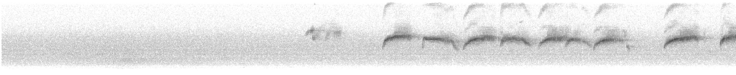 Common Swift - ML620117204