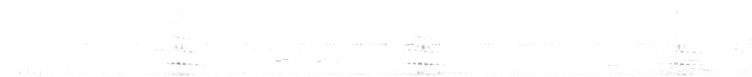 Kara Boğazlı Kolibri - ML620117621