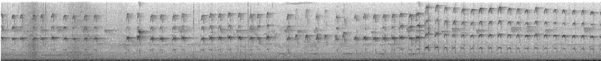 セジロアカゲラ - ML620117813