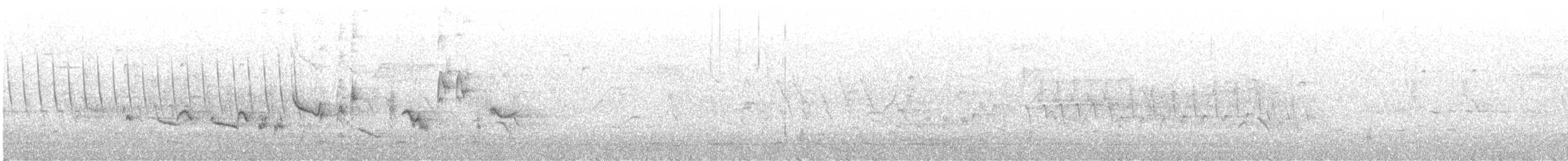 Oriole des vergers - ML620119124