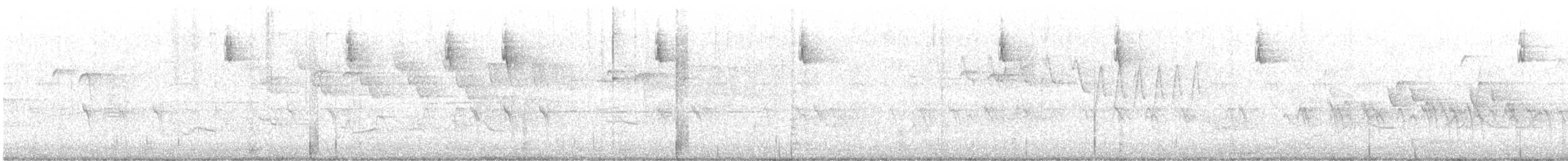 Шишкар ялиновий - ML620120358