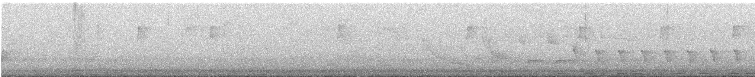 Chouette rayée - ML620121315