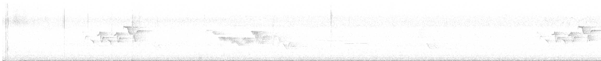 シロオビアメリカムシクイ - ML620122606