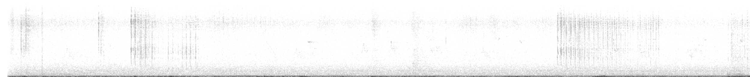 Cinclode à ventre sombre - ML620123611