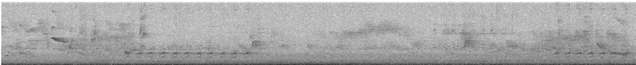 Weißbrustkleiber - ML620124987