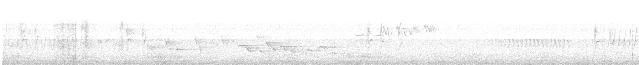 Txinbo papargorrizta iberiarra - ML620125818
