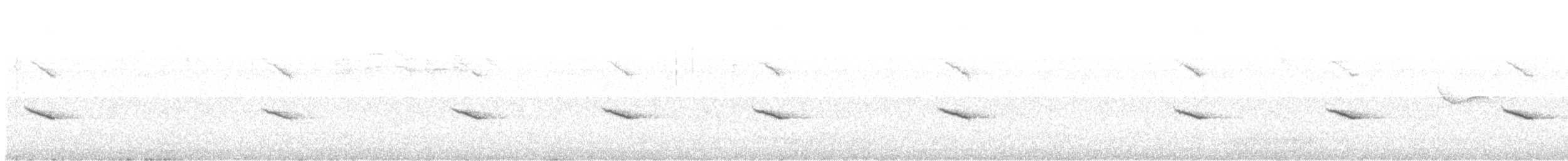 Txonta arrunta - ML620125882