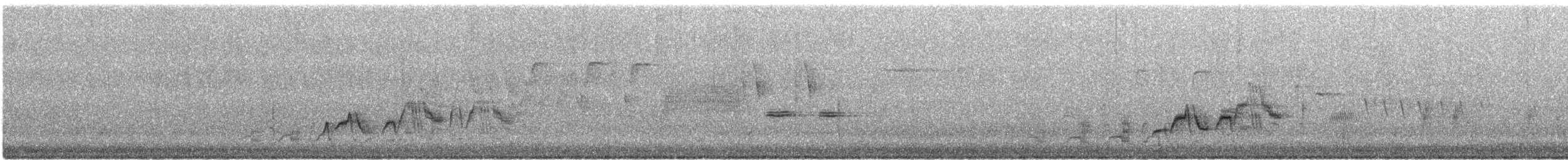 Дрізд-короткодзьоб Cвенсона - ML620126793