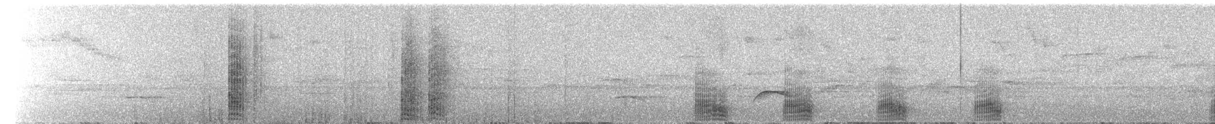 Toucanet à gorge blanche (griseigularis) - ML620127029