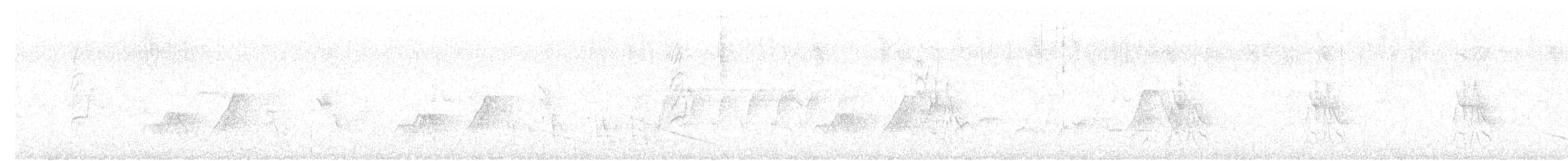 Елепайо гавайський (підвид ridgwayi) - ML620127380
