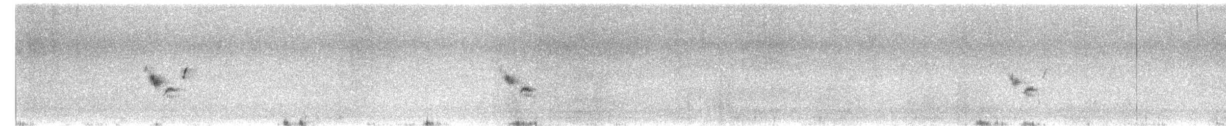 linduška úhorní - ML620129529