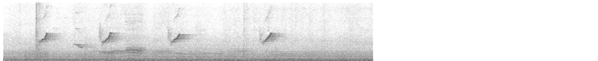 Атласная нектарница - ML620130207