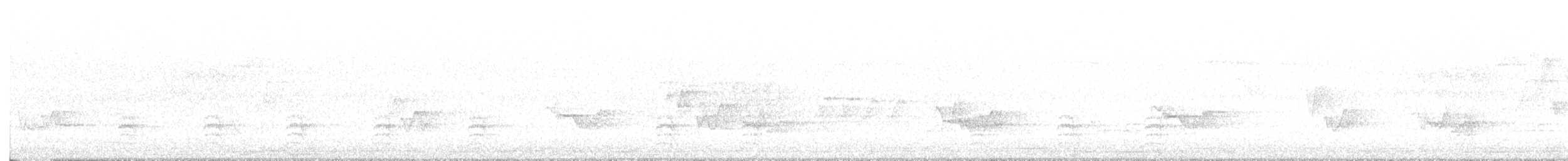 Weißbrustkleiber - ML620130351