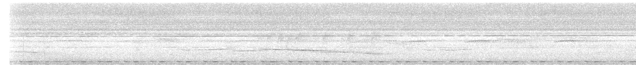 Усатый шелкопёр - ML620130355