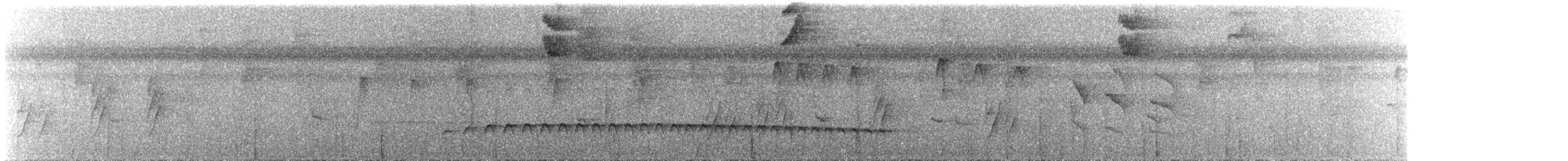 Tüpfelkronen-Ameisenvogel - ML620131308