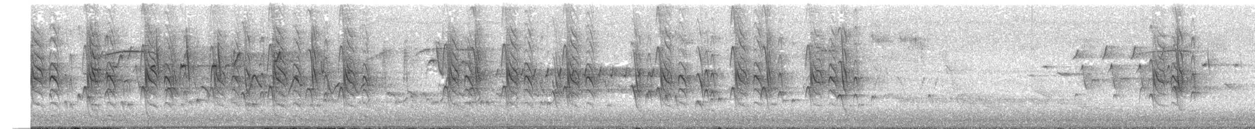 brunhettespettmeis - ML620134828