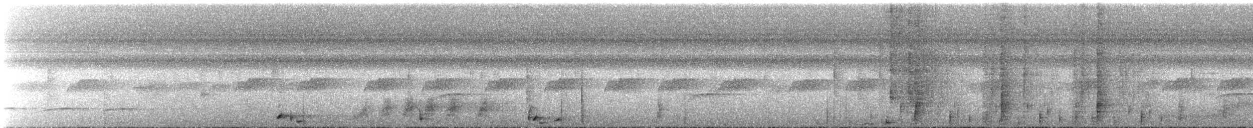 Конота товстодзьоба - ML620135308
