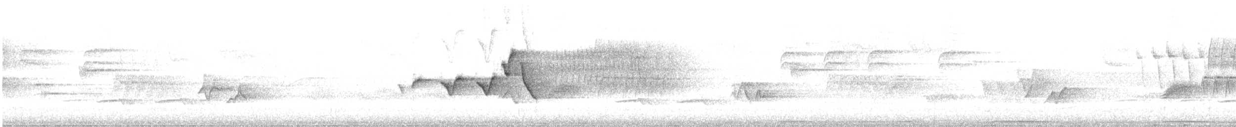Paruline à capuchon - ML620136009