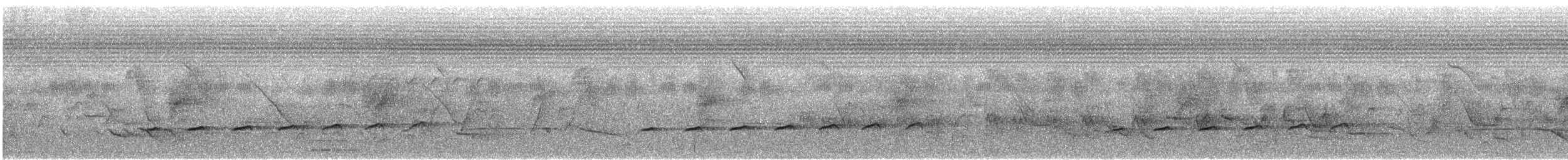 Вилохвостая дронговая кукушка - ML620136189