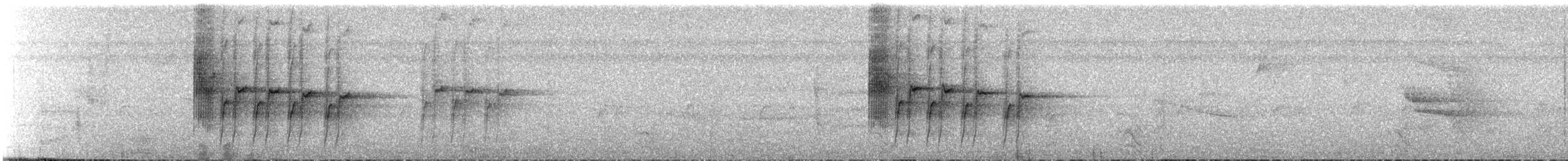 Kuzeyli Kara Yüzlü Kocabaş - ML620137252
