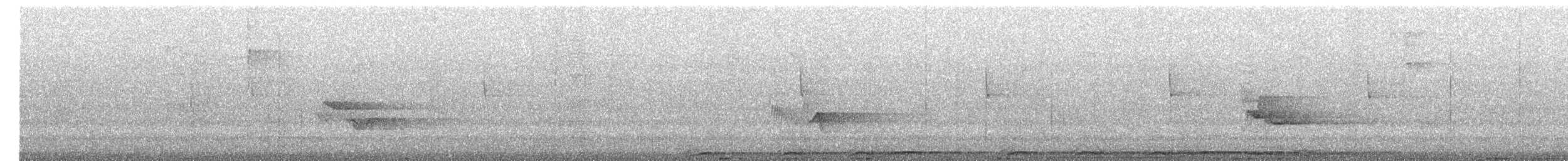 Chouette rayée - ML620137524