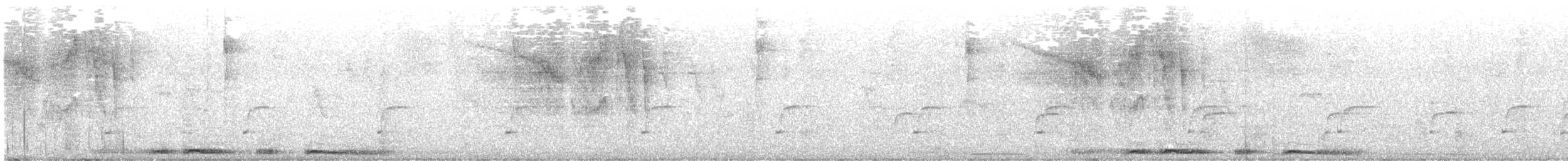 holub antilský - ML620137718