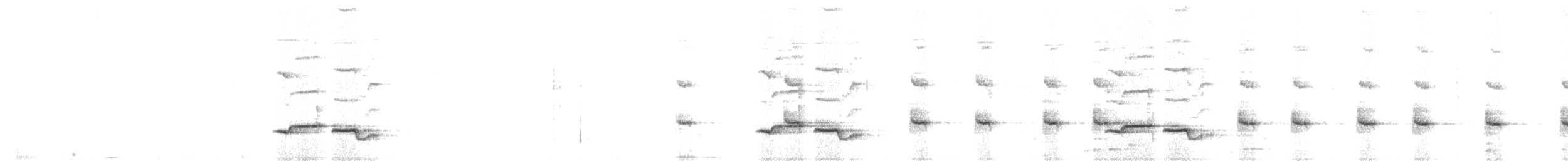 Troglodyte à poitrine blanche - ML620142162