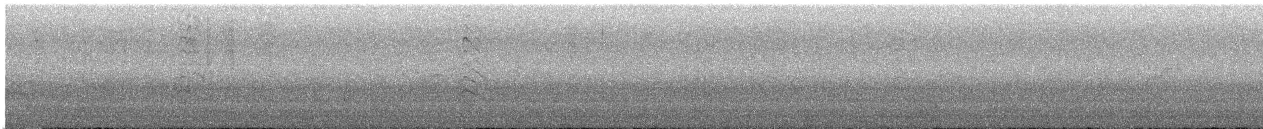Дятел-смоктун білочеревий - ML620143984