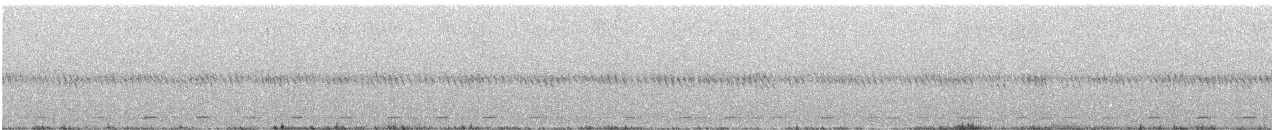 Northern Saw-whet Owl - ML620144467