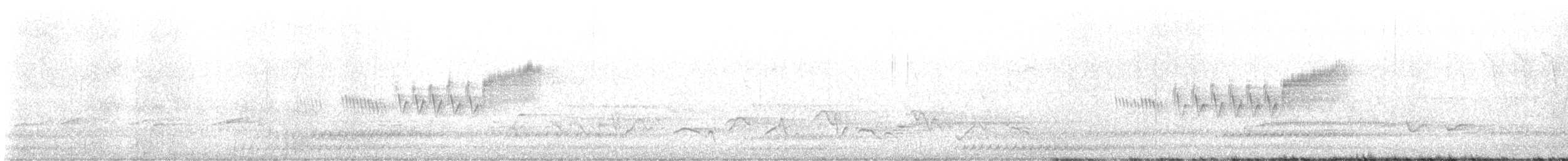 Cerulean Warbler - ML620148561